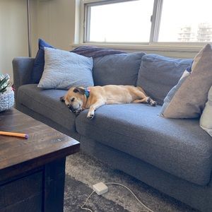 Meet your Posher, Maddie